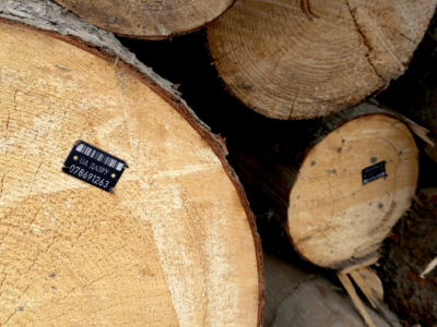 marked-wood-1024×396-1-min marked-wood-1024x396-1-min