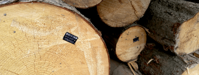 marked-wood-1024×396-1-min marked-wood-1024x396-1-min