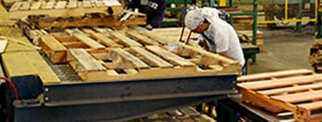 Einkauf und Reparatur von Paletten фото 5